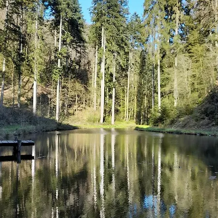 Vulkanblick Manderscheid